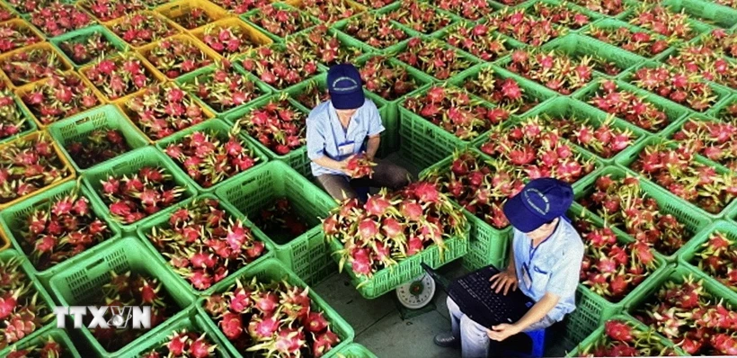 Kết nối thương mại nông lâm thủy sản Việt Nam - Anh